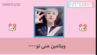 ترجمه آهنگی که فنها برای هوشی از سونتین(Seventeen)خوندن{خیلی کیوته^^}