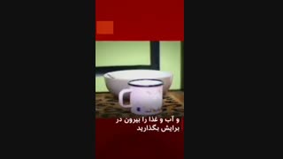 مراقبت از بیمار کرونایی در منزل