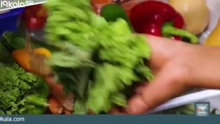 روش صحیح نگهداری مواد غذایی در یخچال