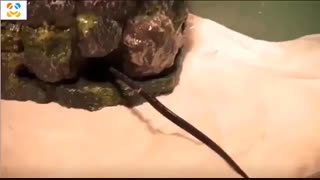 ساخت آبنمای صخره ای (قسمت اول)