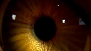 استعدادیابی ستارگان پرند