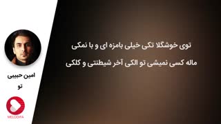 دانلود آهنگ (تو) از امین حبیبی