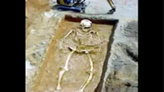 عجایب احتمالا جدید