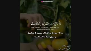 تلاوت آیات32و33 از سوره مبارکه ابراهیم با صدای زیبای طارق محمـــد