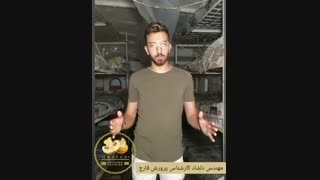 آموزش پرورش قارچ و مشاوره