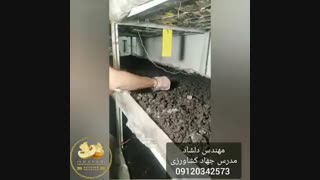 آموزش پرورش قارچ مهندس دلشاد 09120342573