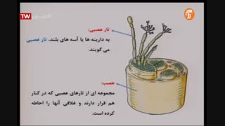 علوم تجربی - پایه هشتم - فصل چهارم - آموزشگاه ایران من