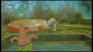 انیمیشن باب اسفنجی دورهمی اسفنجی