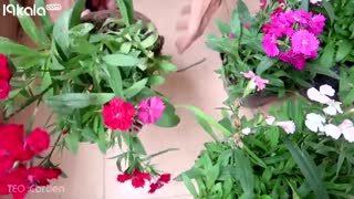 آموزش ساخت دیوارسبز