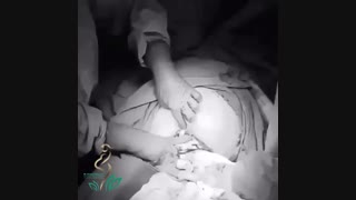 لحظات شگفت انگیز تولد نوزاد