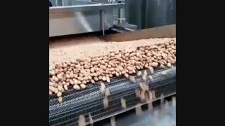 Dry Nut Frying Line