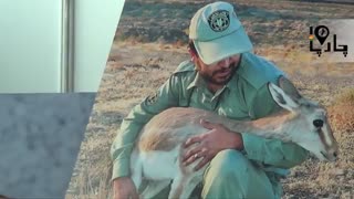 حیوانات حیات وحش ایران نمایشگاه محیط زیست با حضور بیمارستان دامپزشکی مرکزی