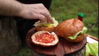 طبیعت گردی با نالینو (همبرگر)
