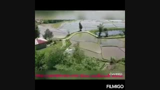 رزرو کلبه جنگلی در ماسال