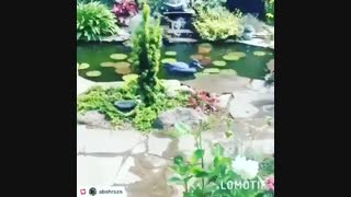 اجرای آبنما و برکه جوب باسنگهای کوهی مالون لاشه  بااستادکاران ماهر و حرفه ای 09124026545