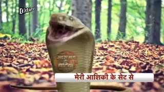 میکس نیش خوردن ایشانی من عاشق توهستم