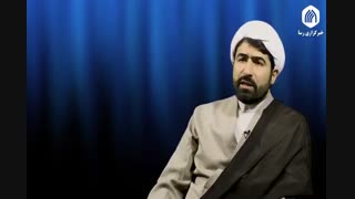 نظریه تکامل و نژاد پرستی