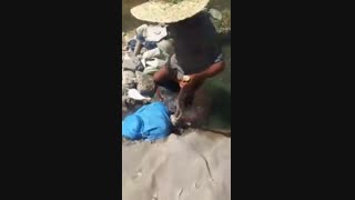 شستشوی پشم گوسفندی