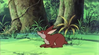 کتاب جنگل - 16