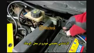 کارشناسی تخصصی خودرو در محل:<<الوچک>>