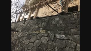 اجرای سنگ مالون.اجرای سنگ لاشه در طراحی محوطه یتان تعغیراتی بیاورید 09124026545