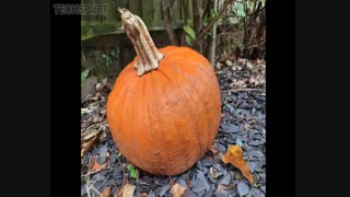 بررسی کیفیت دوربین a51سامسونگ