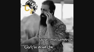 پرطرفدارترین آهنگ های عربی سال آهنگ رقص عربی ریمیکس های عربی