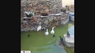 ساختن آبنماهای صخره ای پره ای دیواری باسنگهای کوهی مالون لاشه صخره ای 09124026545