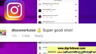 بدون پرداخت هزینه تا 10 کا فالوور هاتون رو افزایش دهید