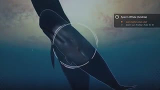 Beyond Blue - Launch Trailer _ PS4 ( 720 X 720 )