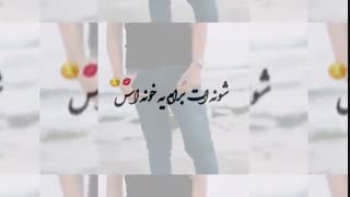 مهرداد هاشم پور