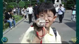 چانغول اعظم چگونه به وجود آمد ؟ چانیول اکسو از یک تا 25 سالگی Chanyeol EXO