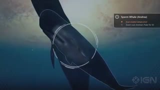 تریلر بازی Beyond Blue