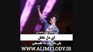 پلی بک علیرضا طلیسچی ای دل غافل نسخه با وکال