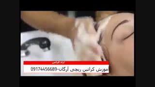 ٰریچی ارگان