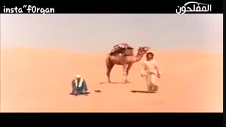 عشق یعنی چی؟ در یک دقیقه معنی عشق را بدانید.!!