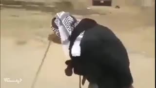 الی الحبیب.... الی الحسین.... صلی الله علیک یا اباعبدالله الحسین(ع)