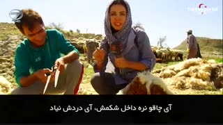 ترک ها همه از یک ریشه