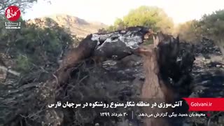 آتش‌سوزی در منطقه شکارممنوع روشنکوه در سرچهان فارس