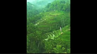 ابود در جزیره بالی (جزیره خدایان) اندونزی