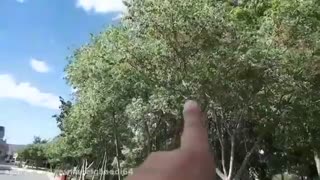 الهام گرفتن از طبیعت در نقاشی