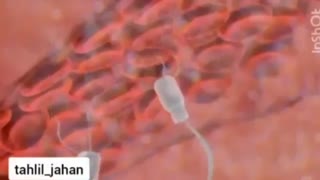 نانوچیپ ها و کرونا