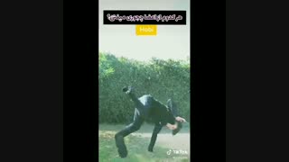 انواع زمین خوردن های bts