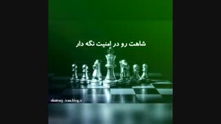 گفتنی های شطرنج