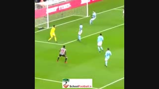 گلهایی که گل نشد!!