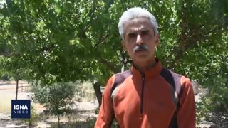 تخریب جنگل ابر زیر پای گردشگران