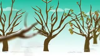 آفت پروانه چوبخوار