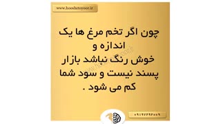 تخم مرغ یکنواخت و خوشرنگ