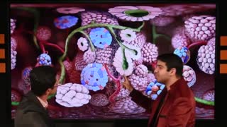 آموزشی بی نظیر از ترکیبی ترین مبحث زیست "غده های بدن"|قسمت اول_زیست حرف آخر