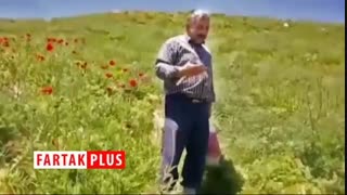 بازدید گردشگران از گل‌های شقایق در دشت‌های کوه دماوند